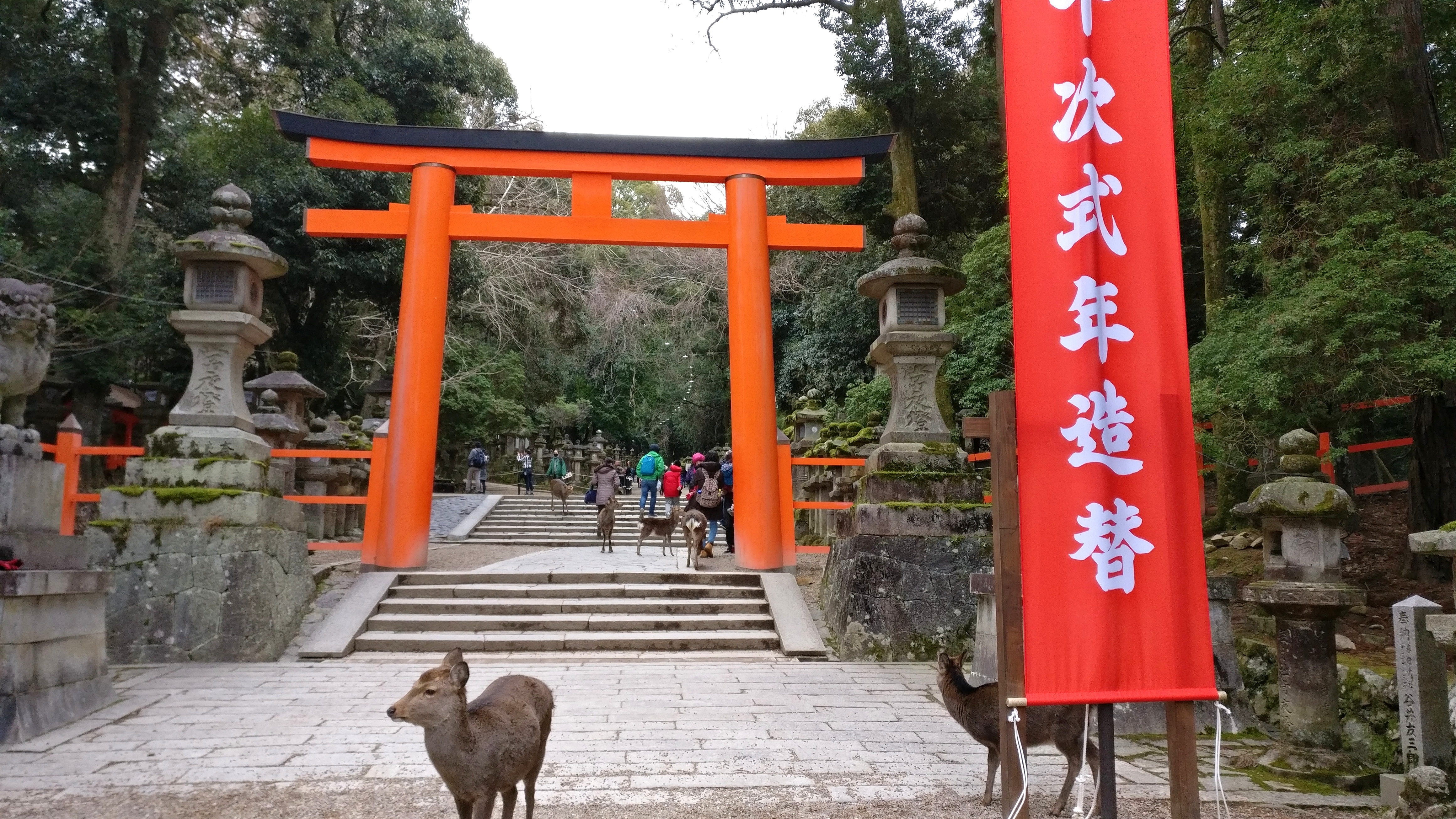 Day trip to Nara from Kyoto