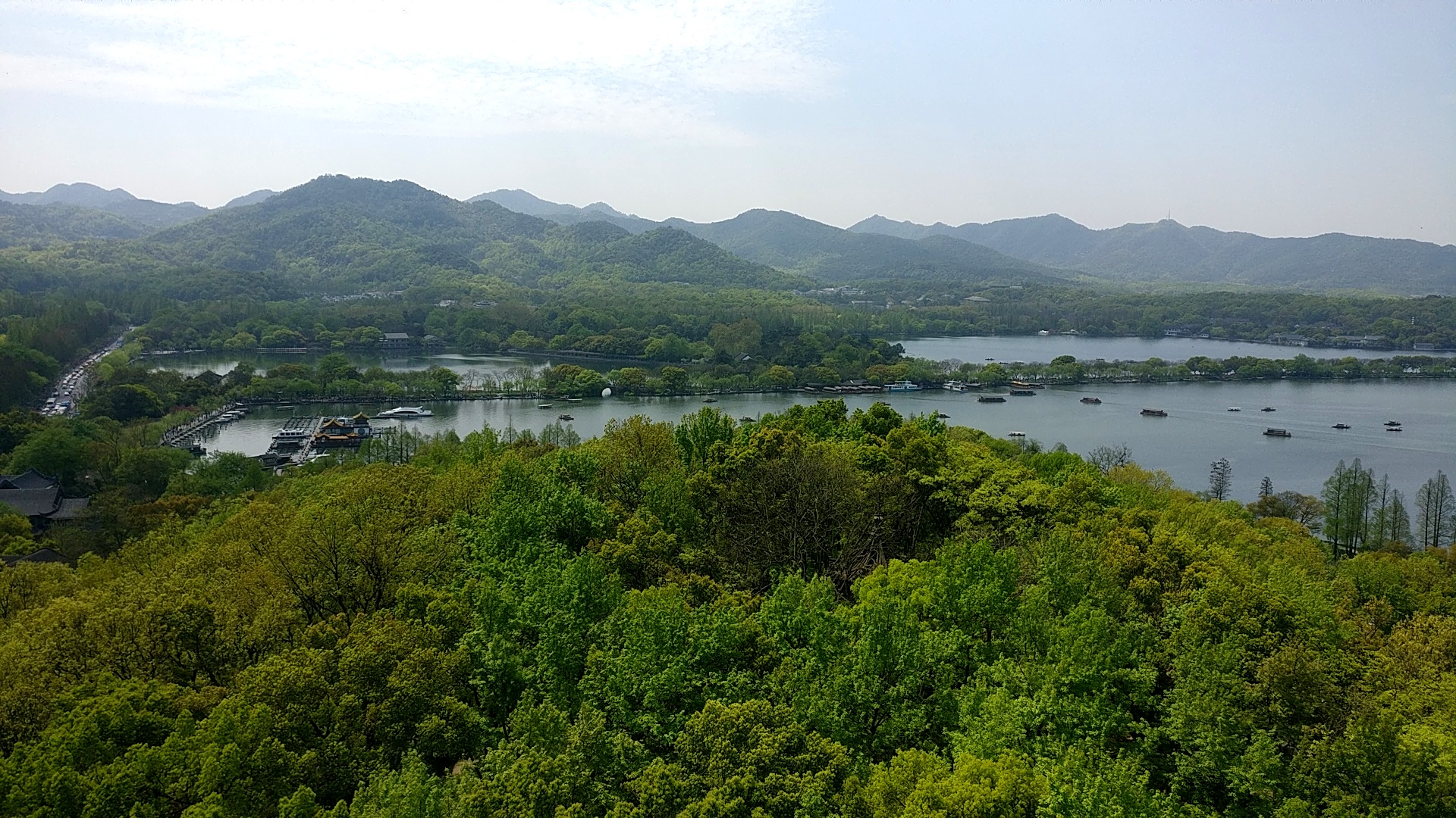 west lake longjing