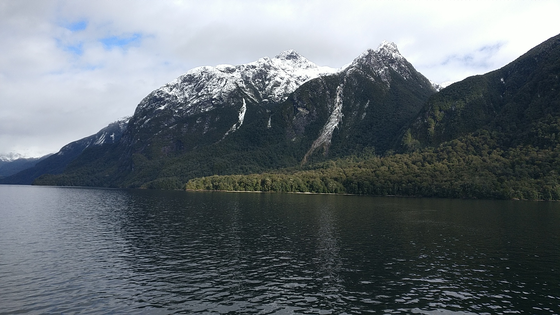 doubtful sound tour